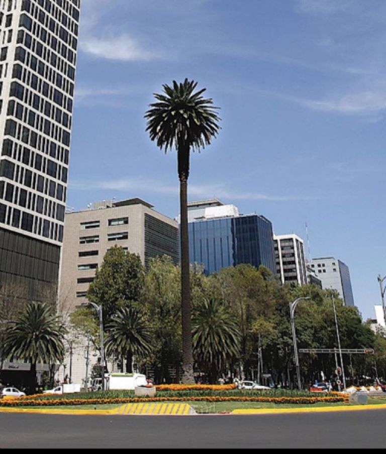 Glorieta de la Palma