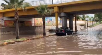 Se inunda paso a desnivel en Ciudad Obregón: Conductores se arriesgan y pasan por la zona