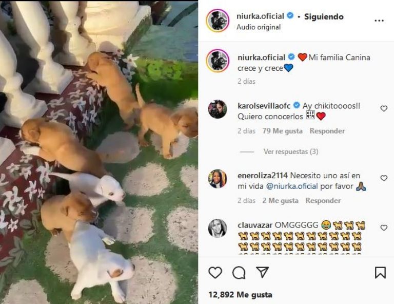 Los nuevos bebés de Niurka