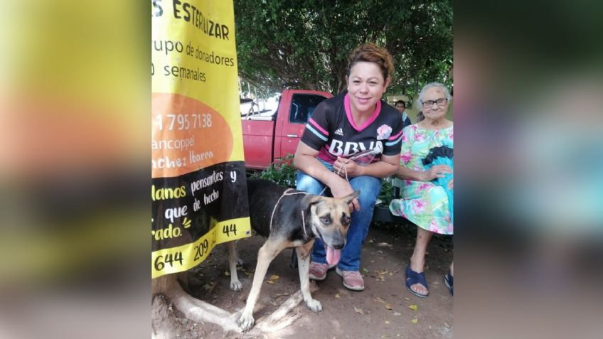 Organización arranca campañas de esterilización altruista en Cajeme