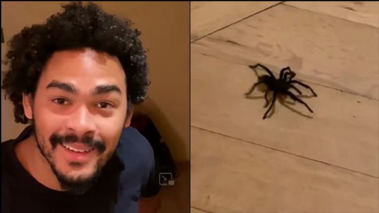 Reacción de Trey al ver a Will en la silla