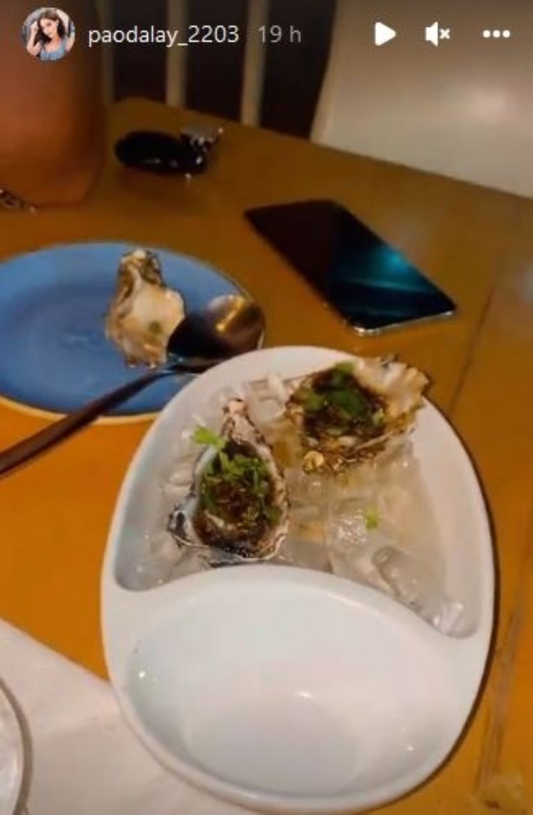 Cena de José Eduardo Derbez y Paola Dalay