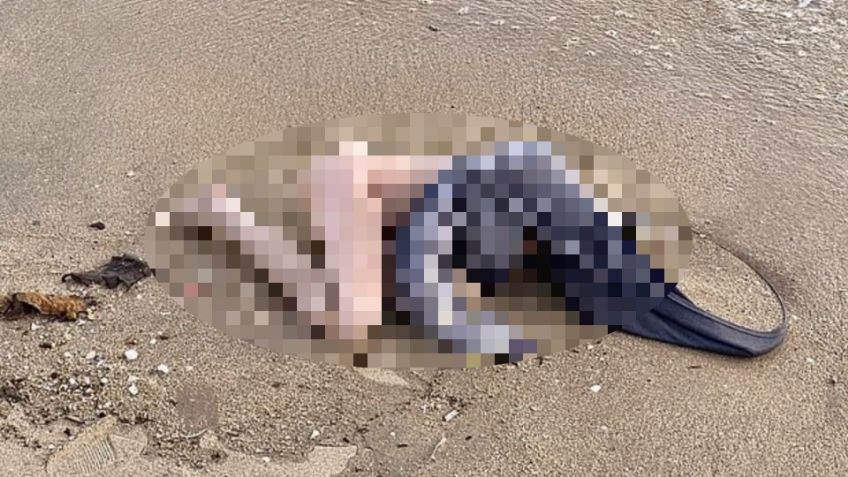 De terror: bañistas encuentran 'cadáver' en la playa; resultó ser un juguete para adultos