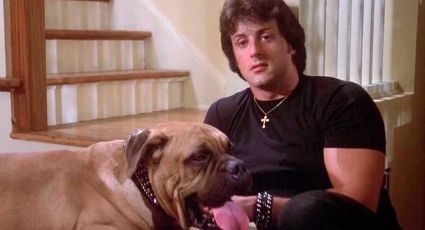 ¿Fue por un perro? Sylvester Stallone explica los motivos por los cuales se divorcia