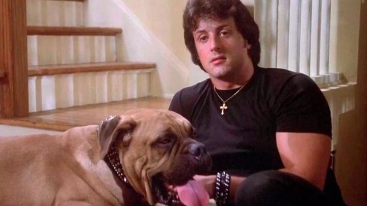 ¿Fue por un perro? Sylvester Stallone explica los motivos por los cuales se divorcia