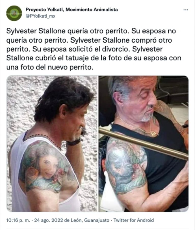 Sylvestre Stallone 