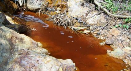 Grupo México, intocable: Suma 8 años impune tras derrame tóxico en el Río Sonora 