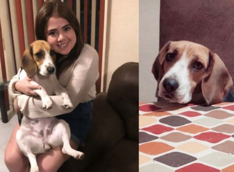 Mariana Botas perdió a su mascota