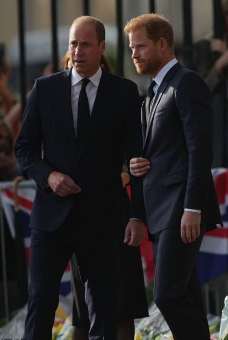 William y Harry juntos