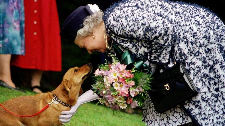 Perros de la reina Isabel II