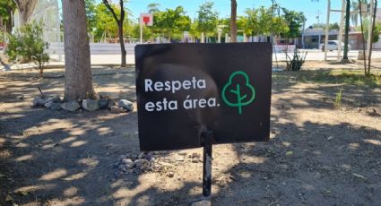 CDMX: Parques públicos de Miguel Hidalgo se convertirían en espacios libres de humo de tabaco