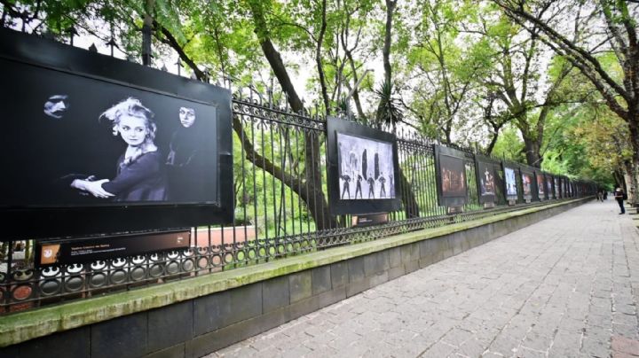 El Festival Cervantino llega a las rejas del Bosque de Chapultepec; Inauguran exposición