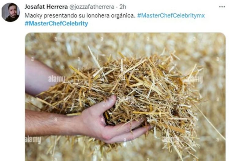 Memes de 'MasterChef Celebrity México'. Foto: Twitter