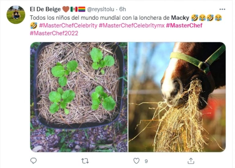 Memes de 'MasterChef Celebrity México'. Foto: Twitter