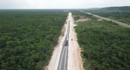 Si eres de la CDMX podrías laborar en el Tren Maya; Buscan empleados para culminar obras