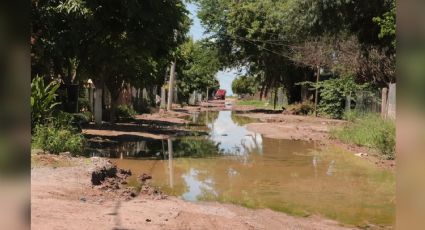 Cajeme: Calles del Tobarito están en el olvido; la falta de mantenimiento es evidente