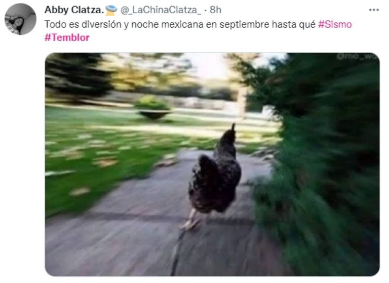 Memes sobre el sismo. Foto: Internet