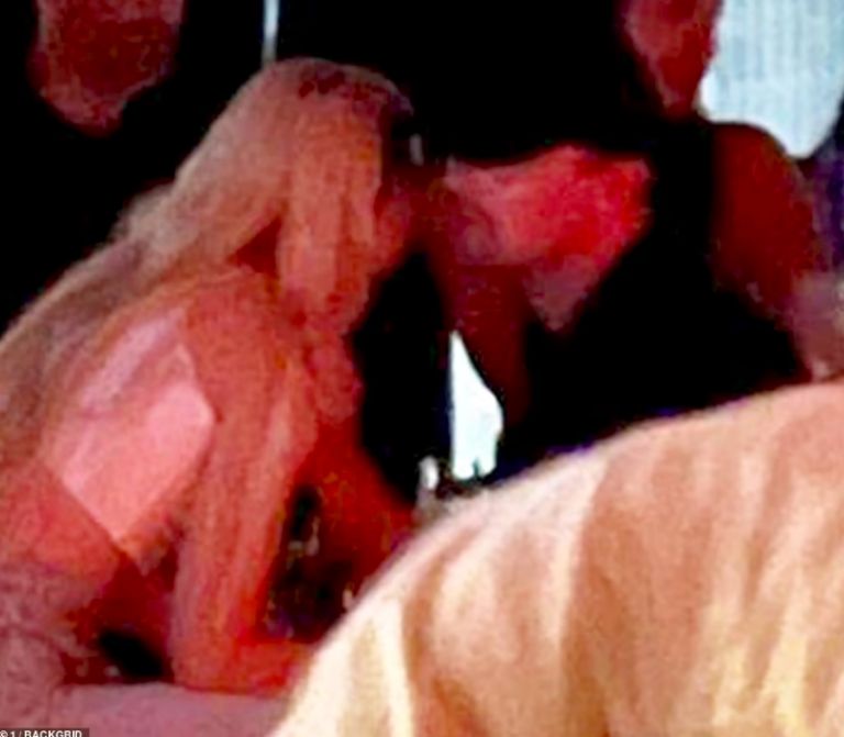 Leonardo DiCaprio y Gigi Hadid 