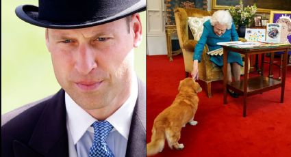 El Príncipe William rompe el silencio sobre el verdadero estado de los perros de Isabel II