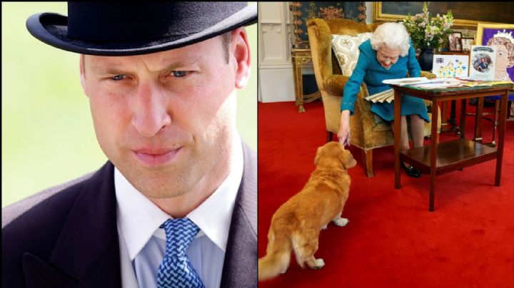El Príncipe William rompe el silencio sobre el verdadero estado de los perros de Isabel II