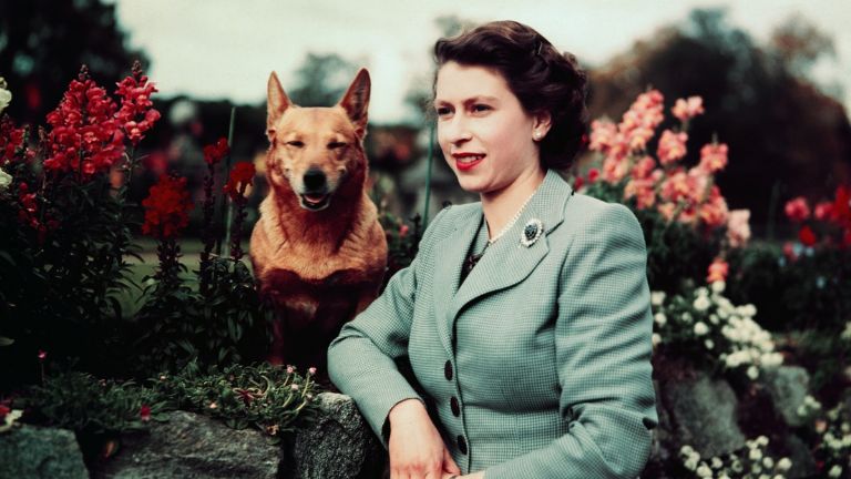 Isabel II y sus corgis