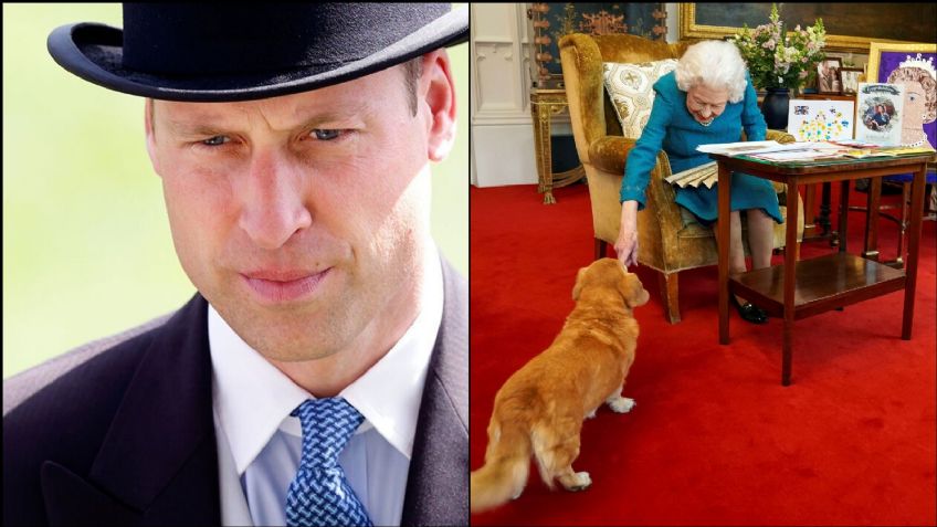 El Príncipe William rompe el silencio sobre el verdadero estado de los perros de Isabel II
