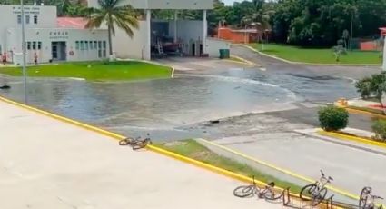 (VIDEO) Alerta en Colima: Tras sismo de magnitud 7.7, Manzanillo reporta tsunami