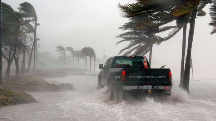 Gobierno de Baja California cancela clases por tormenta tropical 'Javier'; maestros sí deben trabajar