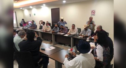 Sistema Producto Tomate ratifica a su mesa directiva; por primera vez sesionó en Ciudad Obregón