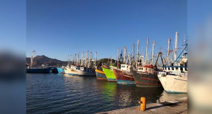 Sonora: 'Zarparán' 90 barcos camaroneros de Guaymas; arrancan temporada