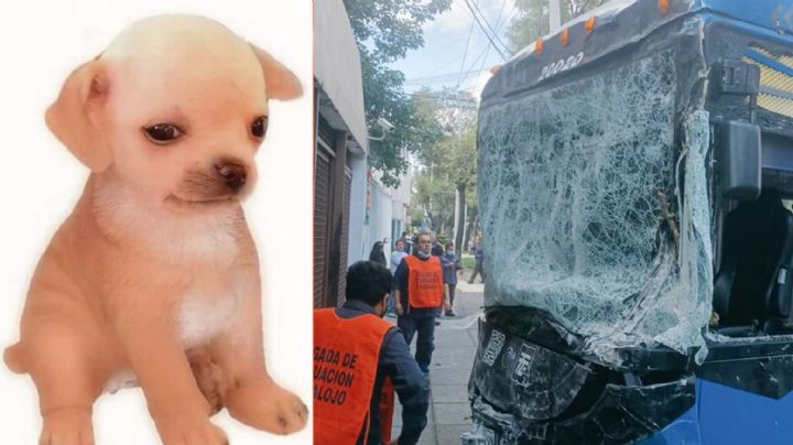 ¿Y por qué ya no trabajas en el Trolebús?: Operador choca en una práctica y deja heridos