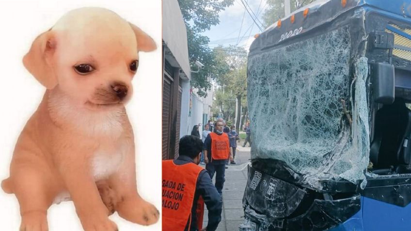 ¿Y por qué ya no trabajas en el Trolebús?: Operador choca en una práctica y deja heridos