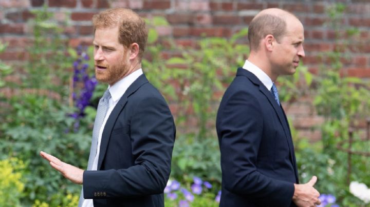 Golpe a Isabel II: Expertos reales revelan que Harry y William no se reconciliarán por esta razón