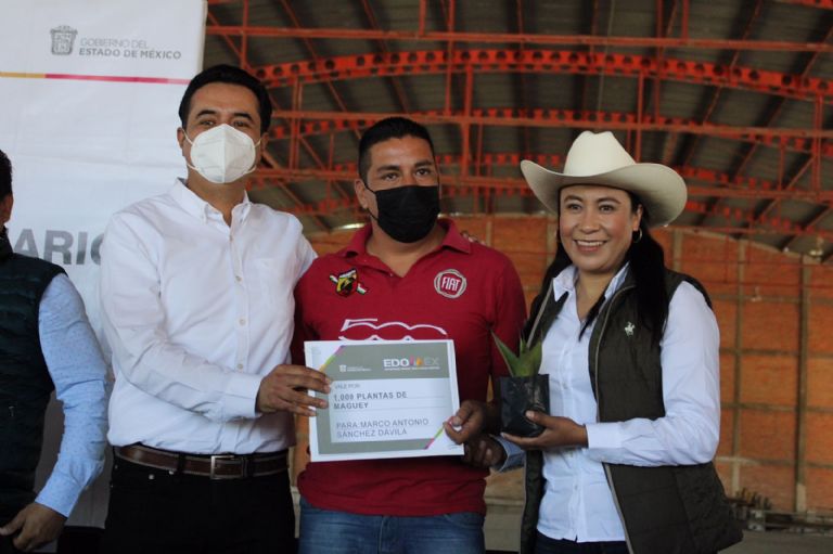 Entrega de plantas de Maguey en Teotihuacán