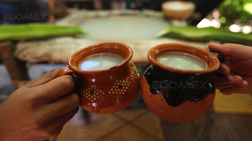 ¿Se te antoja un pulque? Entregan 20 mil plantas de Maguey a productores de Teotihuacán