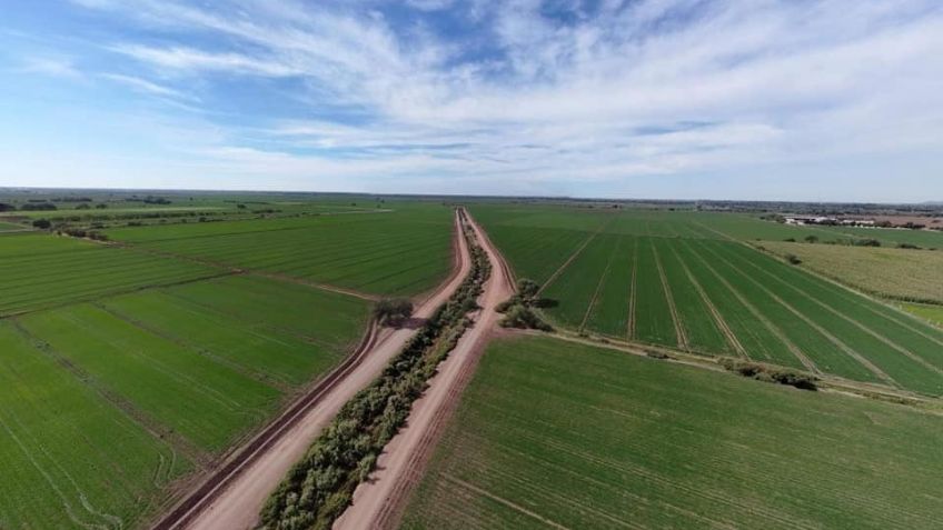 Por primera vez en cinco años, ciclo agrícola en el Valle del Mayo iniciará sin restricciones