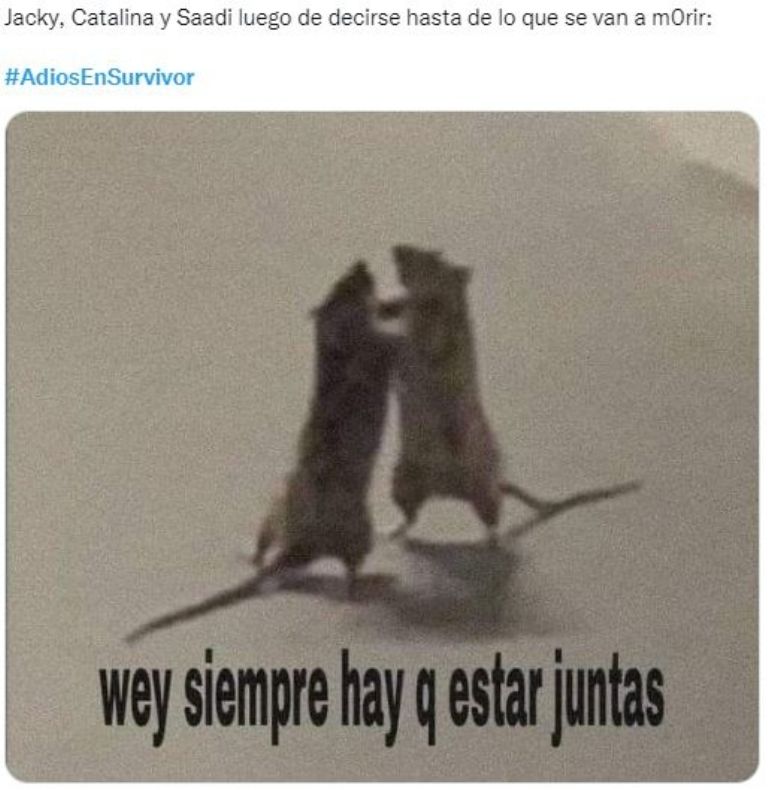 Eliminación de Jacky desata los memes 