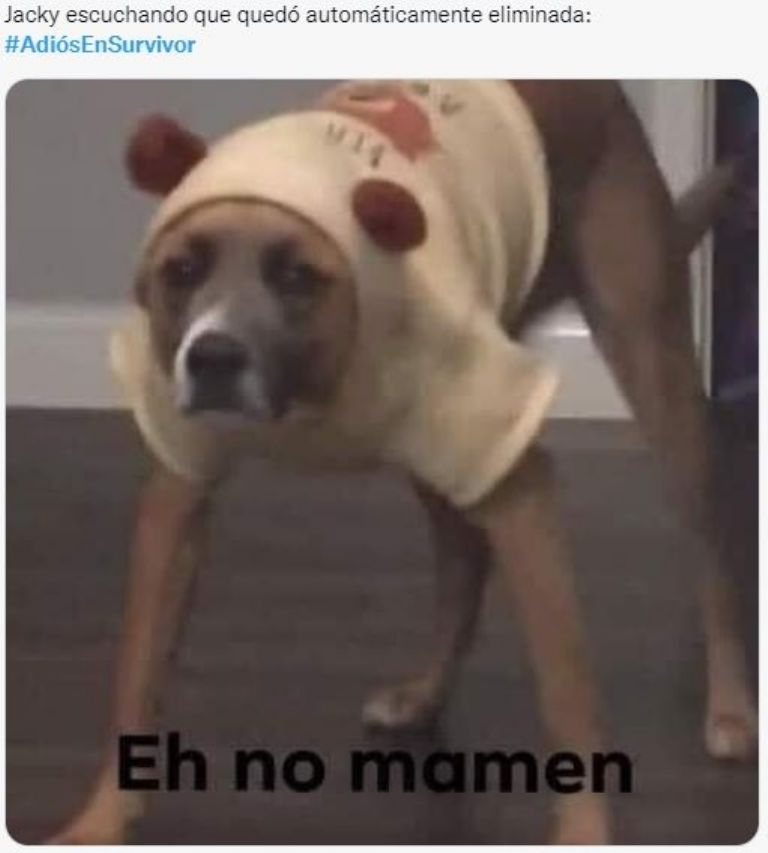 Eliminación de Jacky desata los memes 