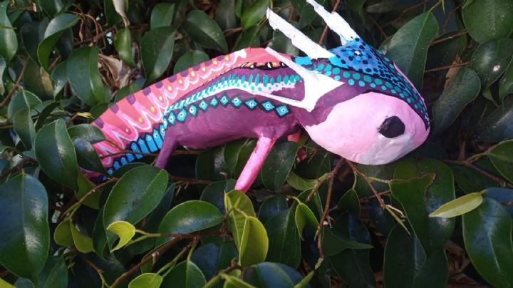 Atención fanáticos del ajolote: Convocan al tercer concurso de alebrijes en Pachuca