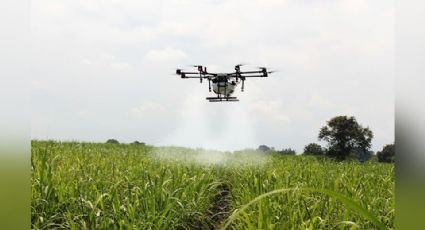 Sader apoya el el uso regulado de drones en Cajeme; aerofumigadores piden regulación