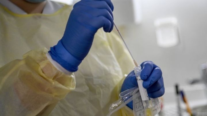 Covid-19: Variante omicron sigue evolucionando; reportan que la variante 'Kraken' ya está en México