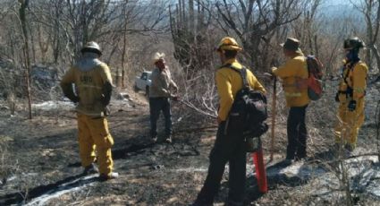 Incendios forestales en Cajeme han dañado más de 800 hectáreas, afirman ganaderos