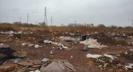 Habitantes de la colonia Beltrones denuncian uso de terreno como basurero