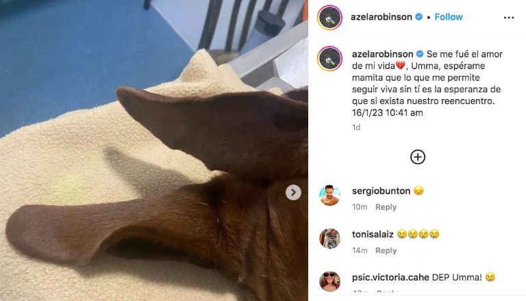 Instagram @azelarobinson