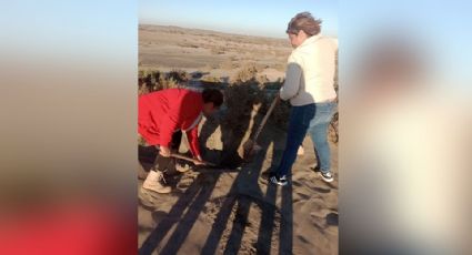 Buscadoras Huatabampo encuentran cráneo humano tras jornada de rastreo el fin de semana