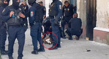 VIDEO: Más de 10 agentes de la SSC se movilizan... para detener a un perro que mordió a policía
