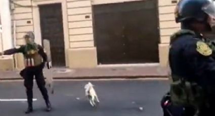 "Renuncia asesina": Policía de Perú mata a un perro que defendía a su dueño durante protestas