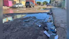 En la Primero de Mayo quieren una solución a las aguas negras que invaden la colonia