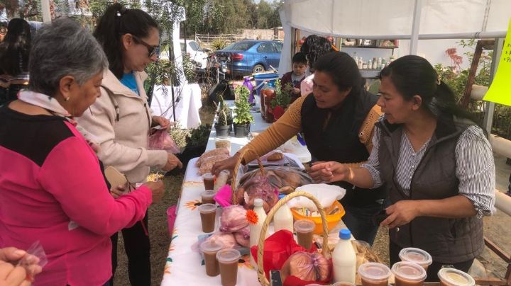 Visita el Tianguis Agroecológico de Tecámac y apoya a campesinos mexiquenses