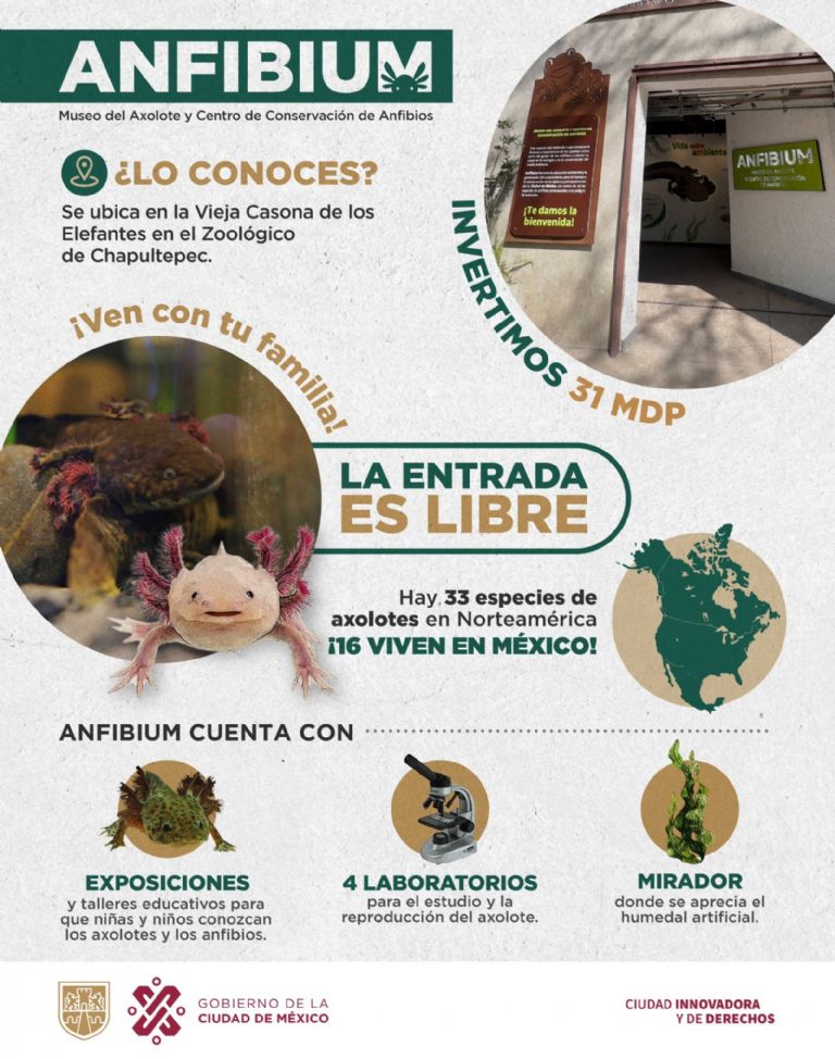 Museo del Axolote 